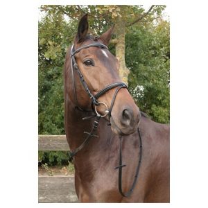 Bridle Bronze, black padded