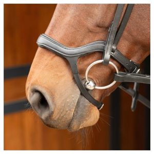 Bridle Anatomic