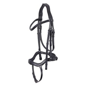 Bridle Anatomic