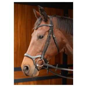 Bridle Anatomic
