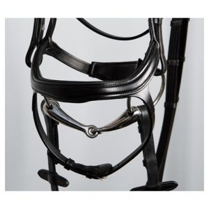 Bridle Anatomic