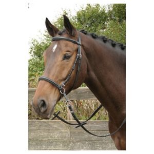 Bitless bridle, black