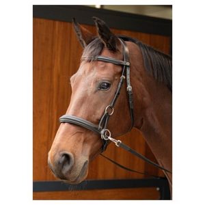 Bitless bridle, Sidepull