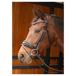 Bridle Rosegold Lacque II