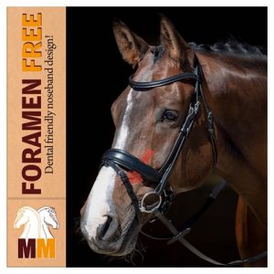 Bridle Foramen Free