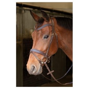 Bridle Havanna Navy